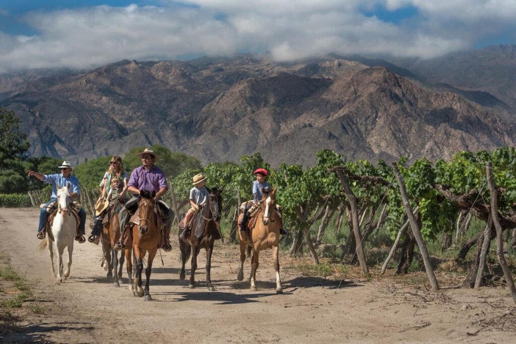 Caminho do Vinho em Salta