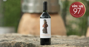 STONEVIK 2024: Vinho com 97 Pontos de Hidalgo
