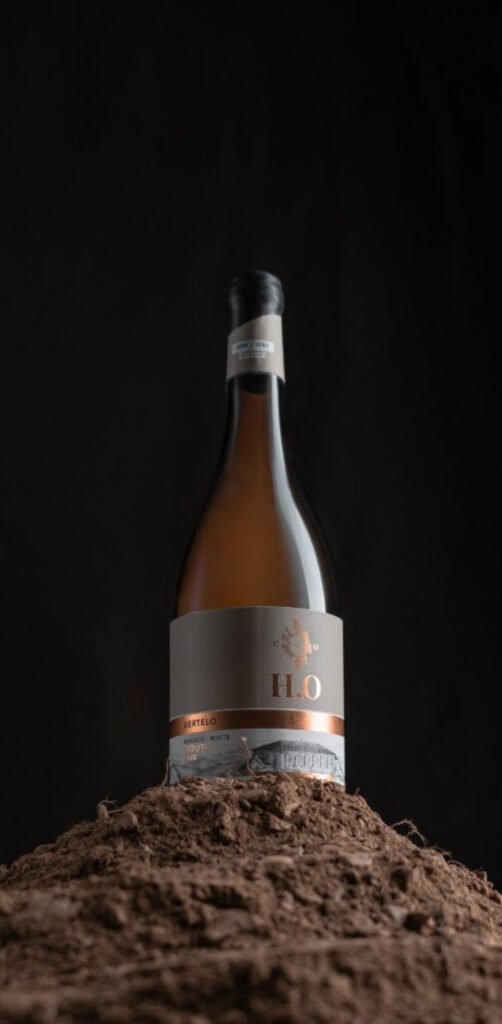 Seleção de vinhos brancos da Menin Company destaca a diversidade do Douro Quatro rótulos revelam diferentes estilos dos vinhos brancos produzidos pela Menin Douro Estates e H.O Horta Osório, em Portugal