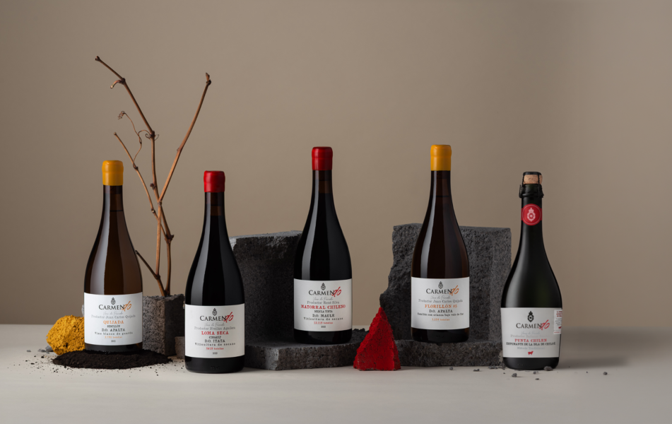 Carmen D.O. celebra 10 anos valorizando a origem dos vinhos chilenos