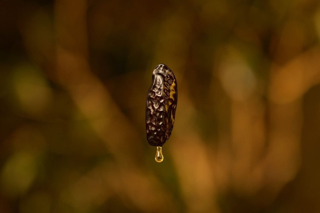 Natura Ekos 2026 ressignifica a baunilha amazônica em uma criação sofisticada