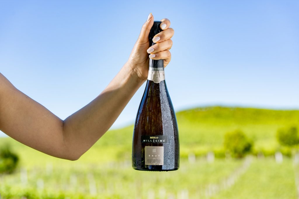 Miolo Millésime D.O. 2023 celebra a excelência do Vale dos Vinhedos