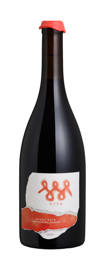 Vinícola Otto leva vinhos de produção limitada à ProWine São Paulo 2026